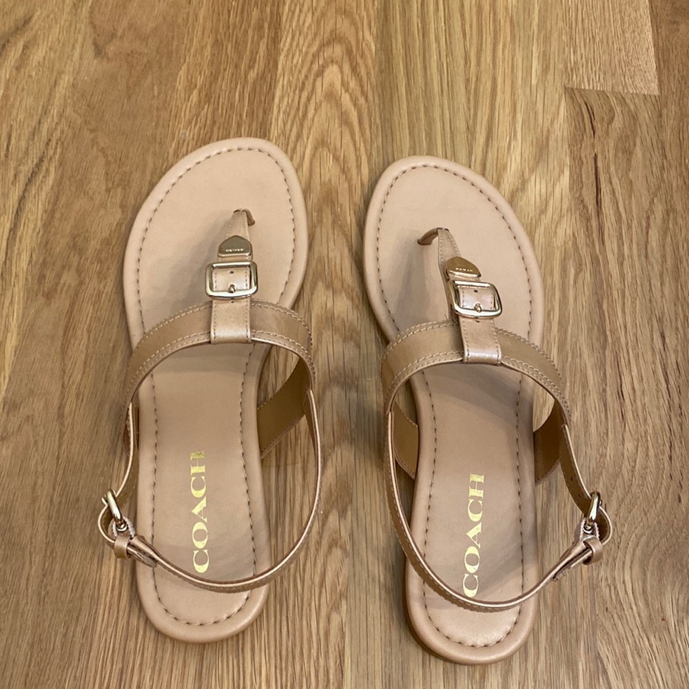 Coach Sandals